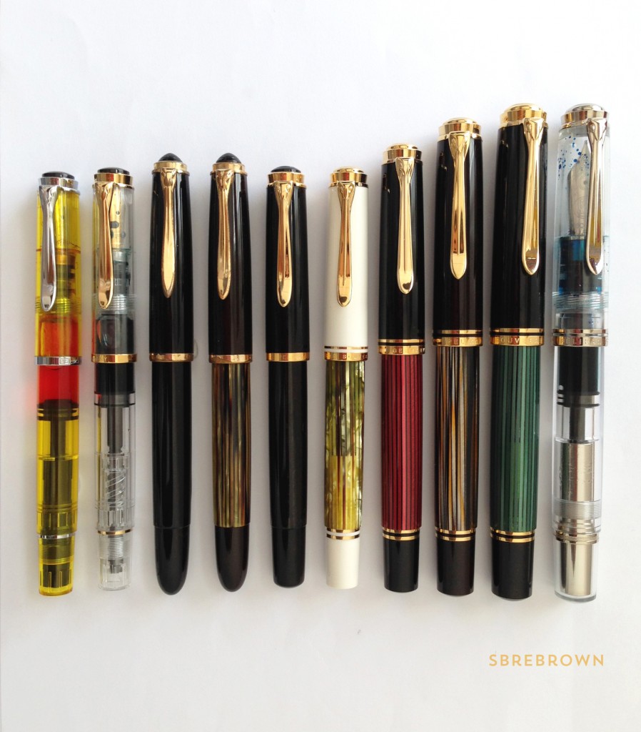 A Flock of Pelikans 1