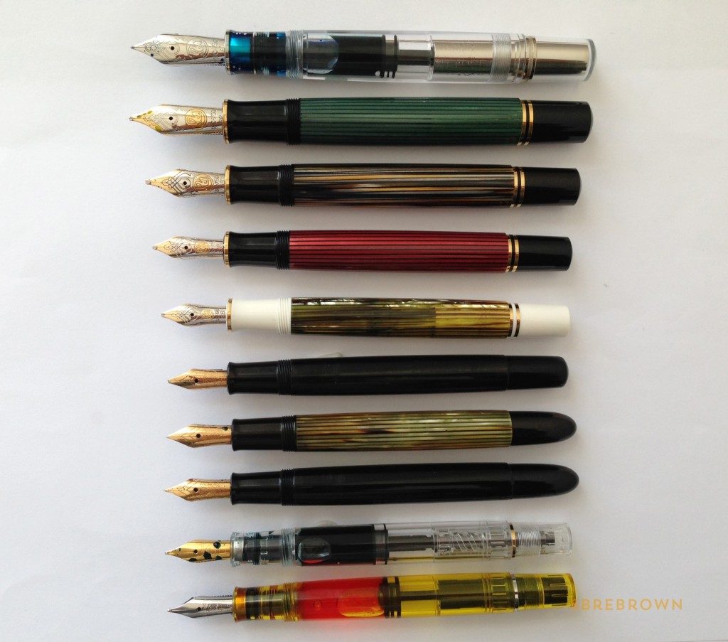 A Flock of Pelikans 2