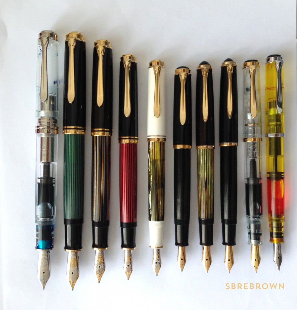 A Flock of Pelikans 3