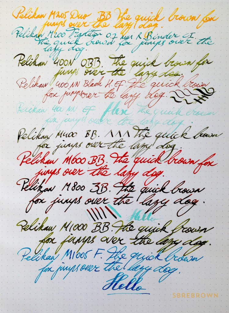 A Flock of Pelikans 4