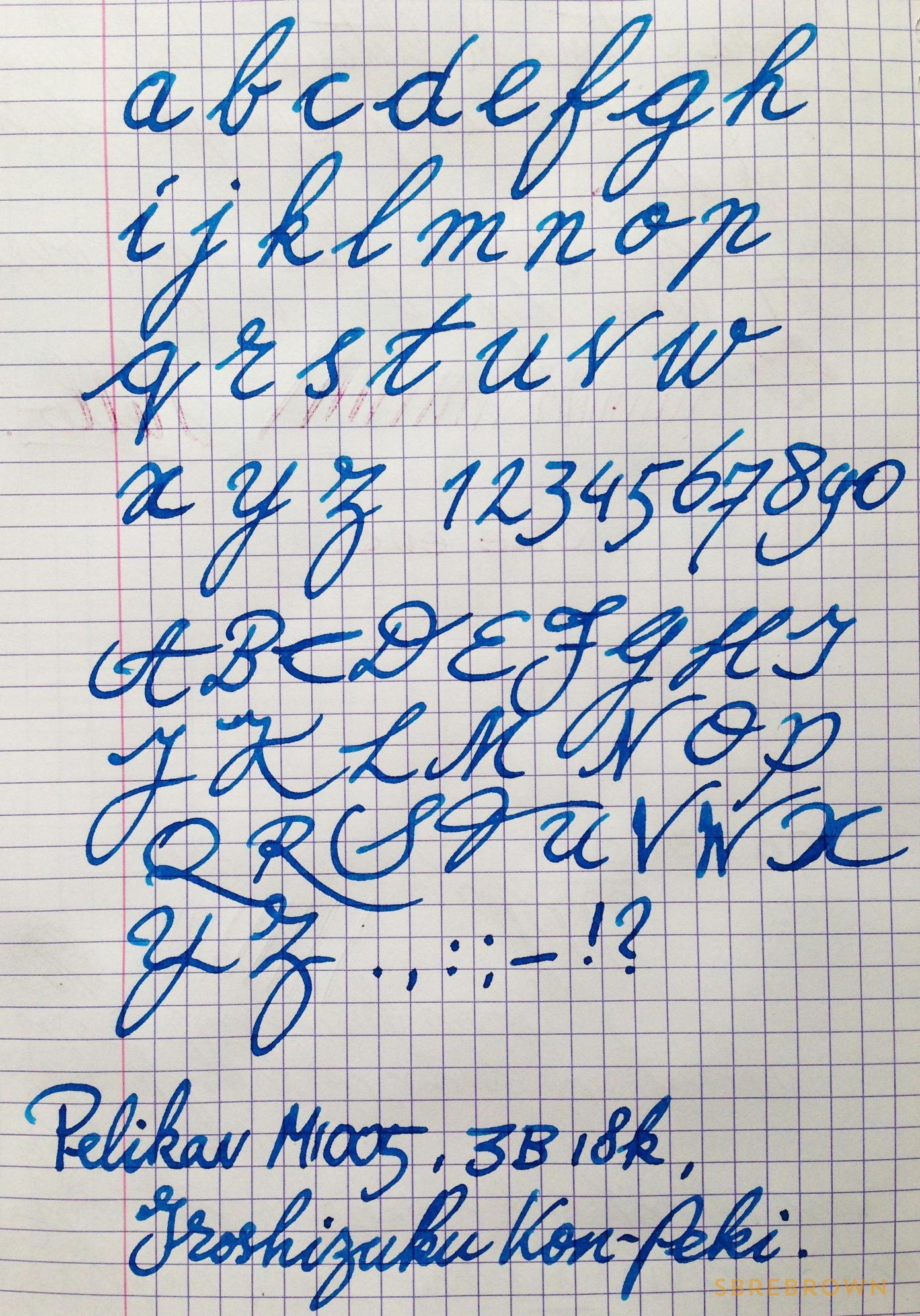 SB. Writing Sample Pelikan 3B Nib