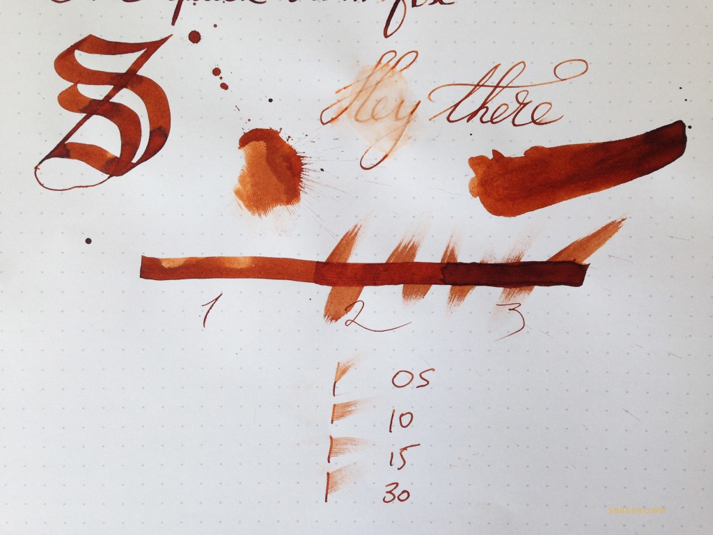 SB. SBREBrown Ink Review (3)