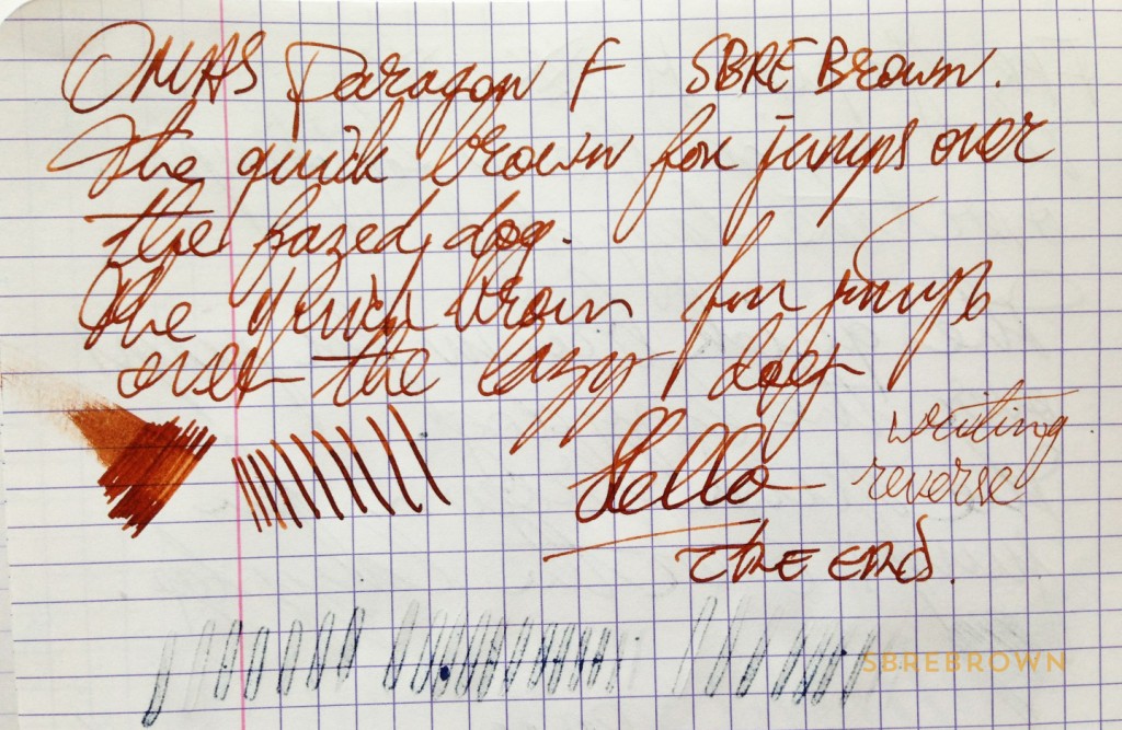 SB. Omas Paragon Arco Celluloid FP Review (8)