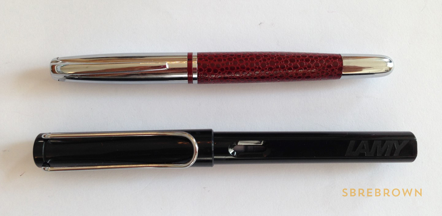 PierCarlo d'Alessio Fountain Pen Review