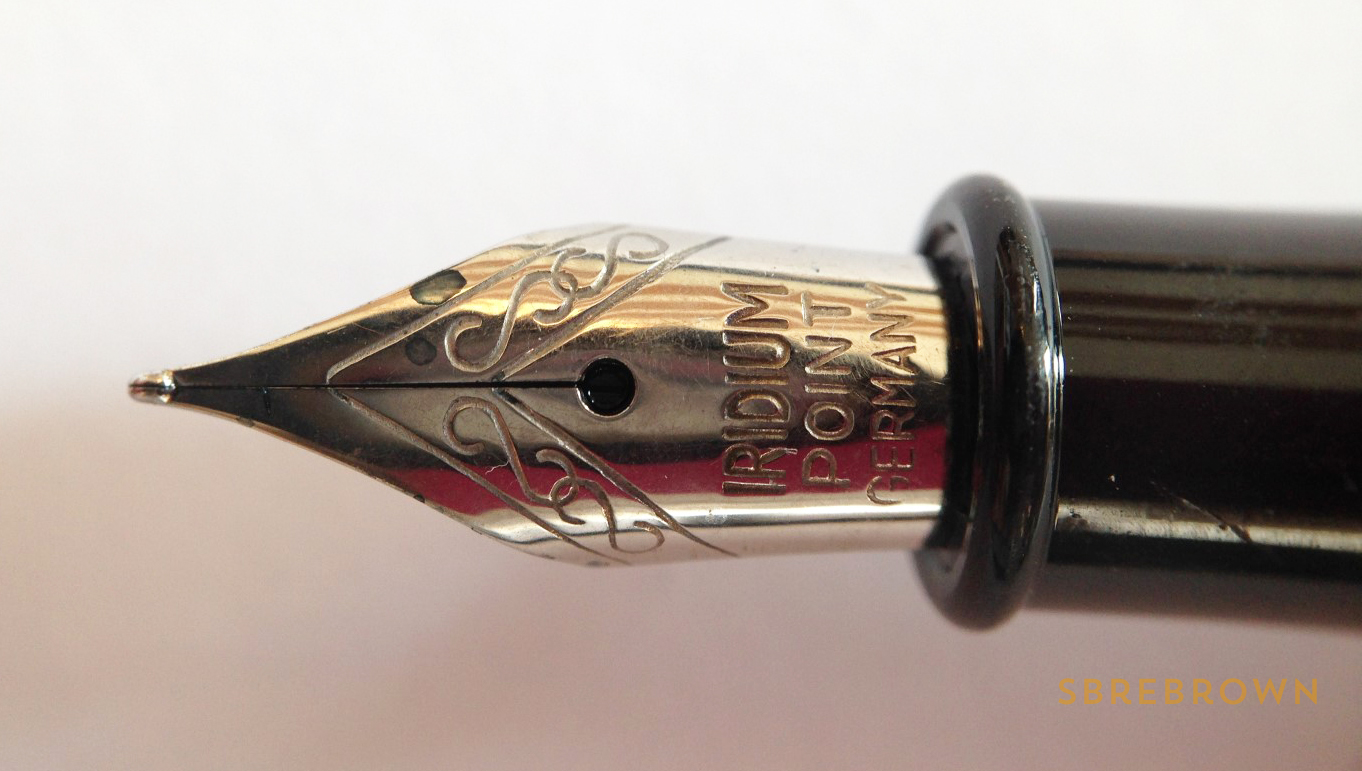 PierCarlo d'Alessio Fountain Pen Review  (6)