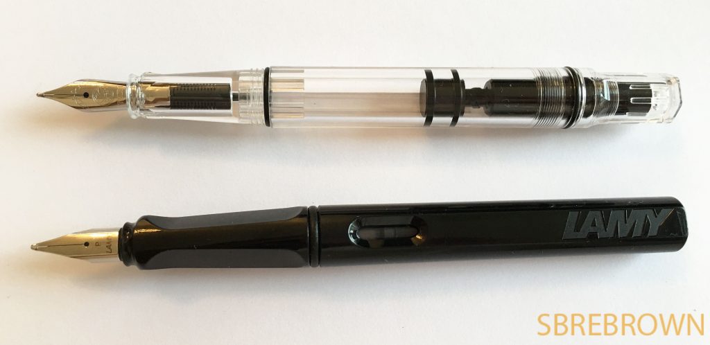 TWSBI Eco Clear FP Review