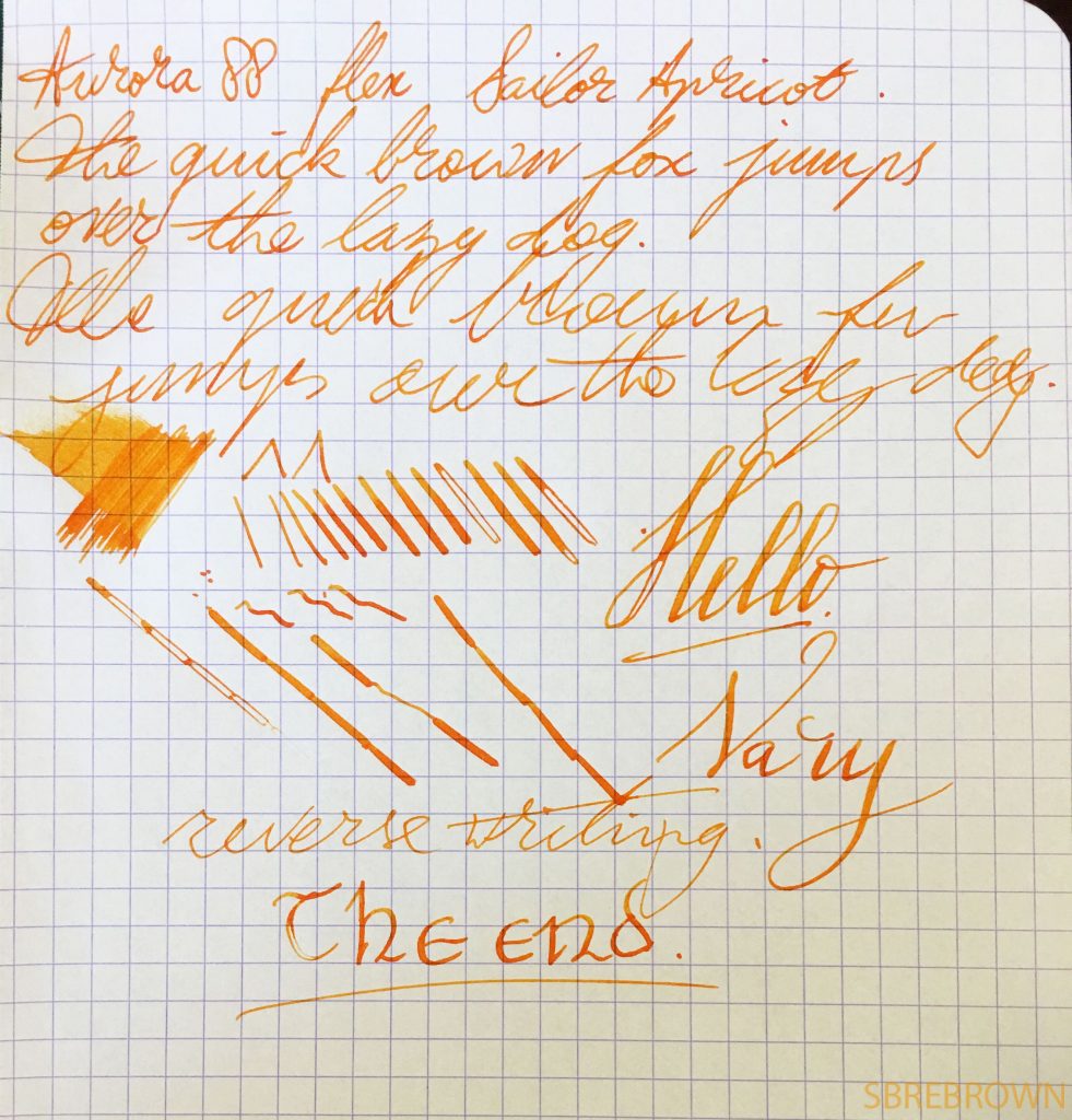 Aurora 88 Anniversario with Vintage Flex Nib